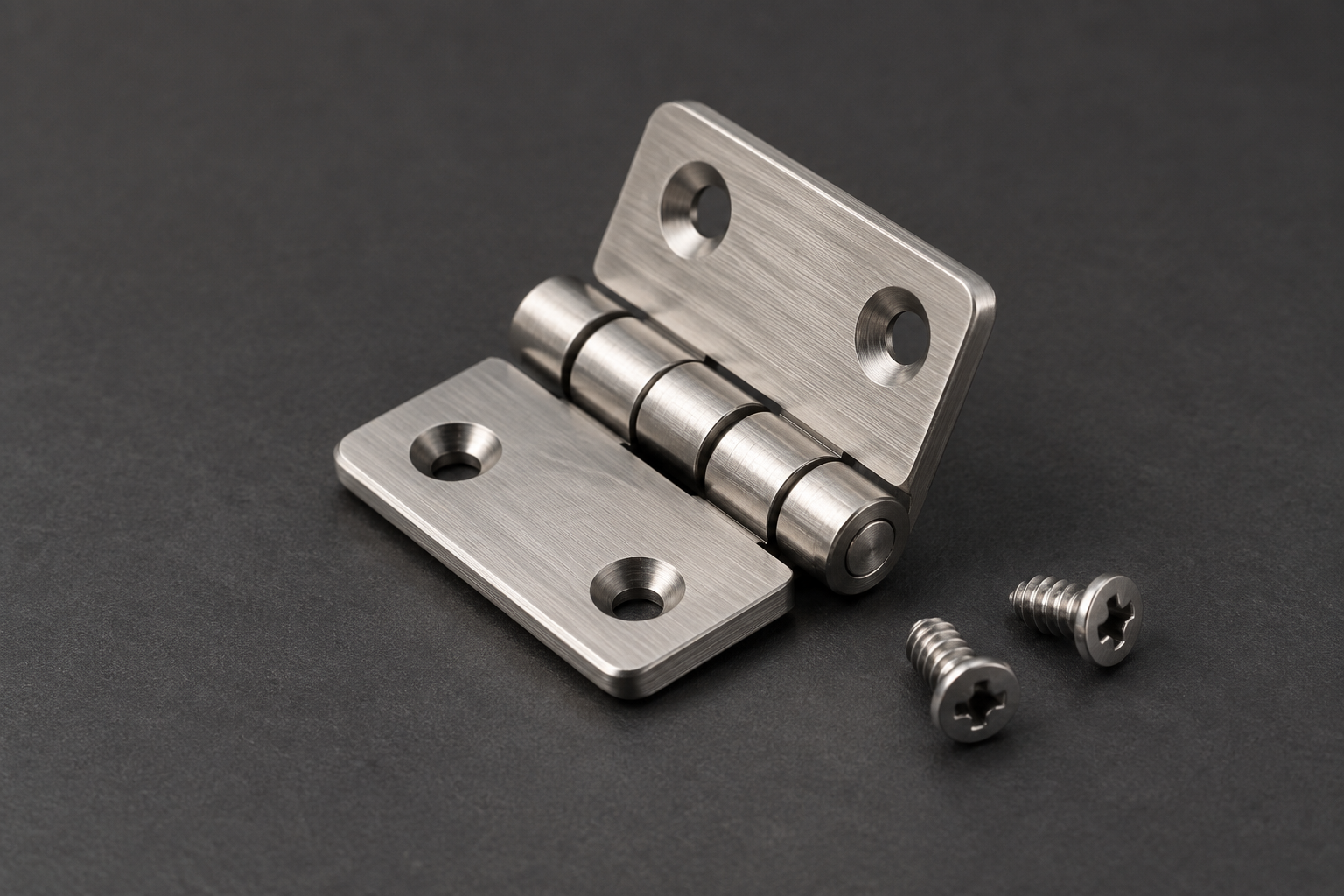 Miniature stainless-steel hinge with two small mounting screws
